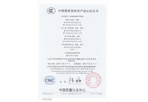 YE2-高效3C認(rèn)證書(shū)